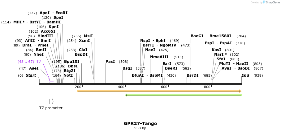 119913_map