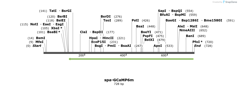 119916_map