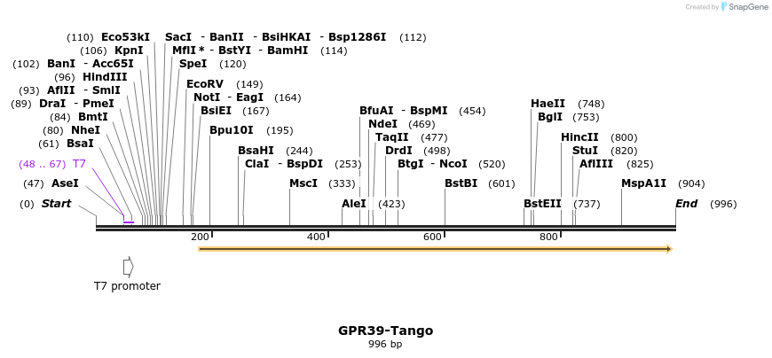 119917_map