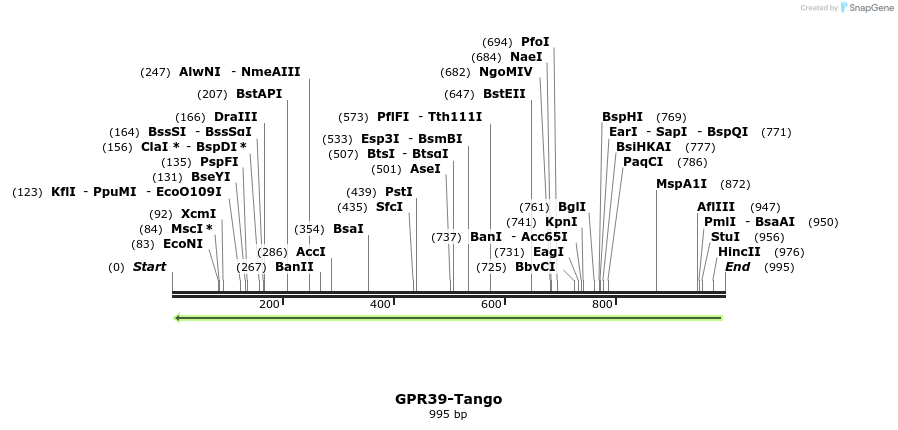 119918_map