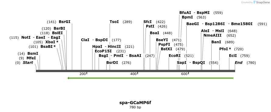 119919_map