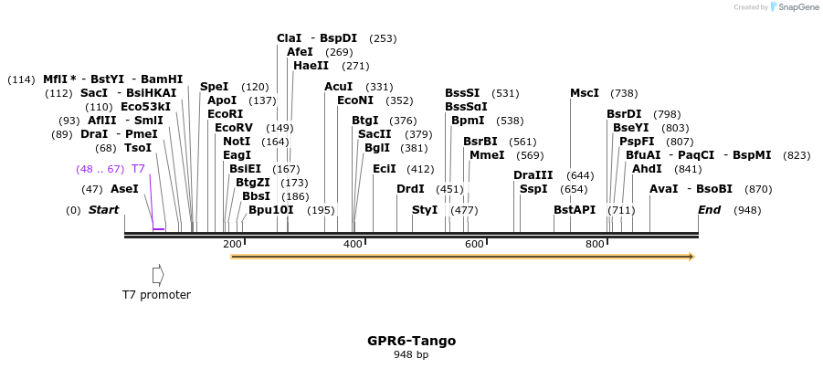 119920_map