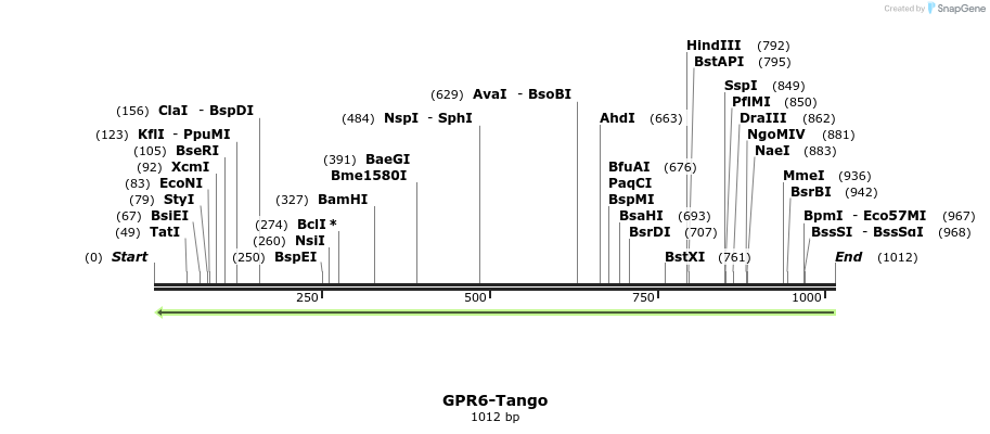 119922_map