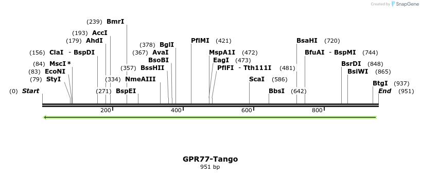 119924_map
