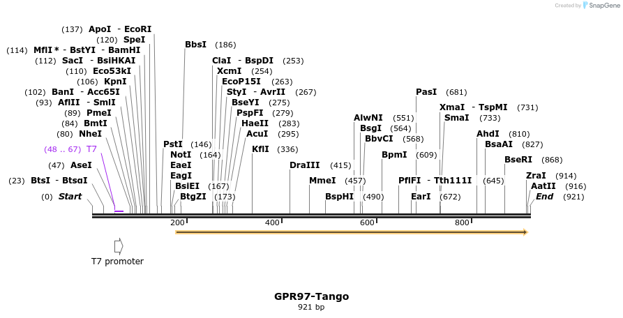 119925_map