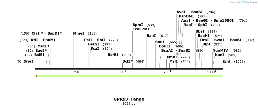 119926_map