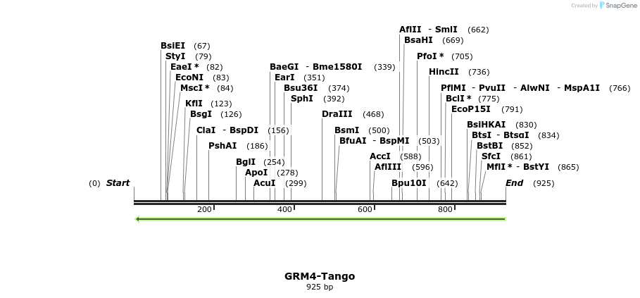 119929_map
