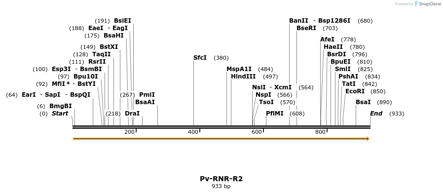 11993_map