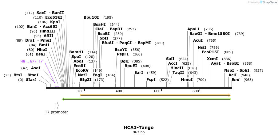 119930_map