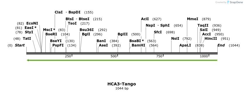 119931_map