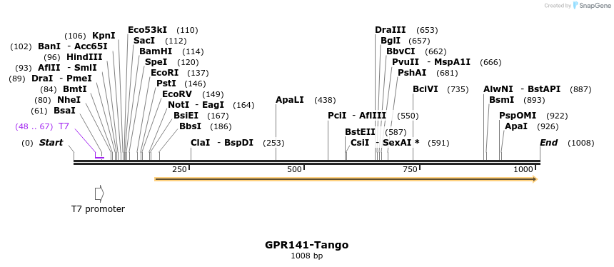 119932_map