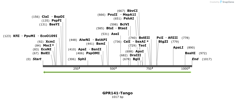119933_map