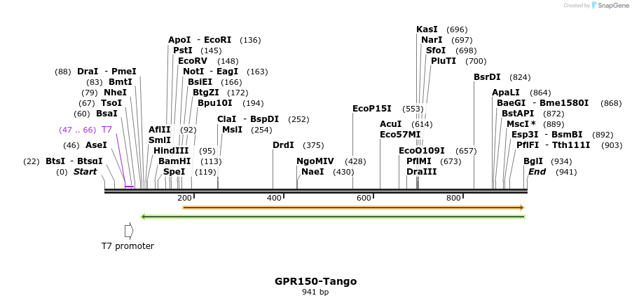 119935_map