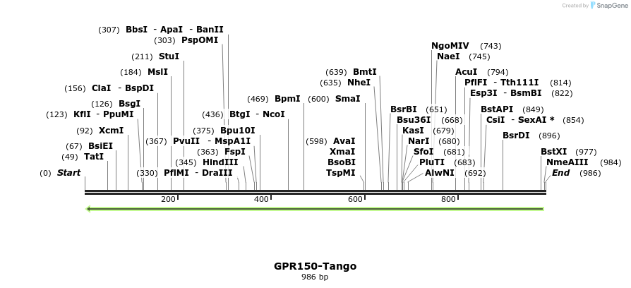 119936_map