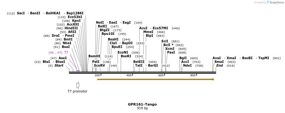 119937_map