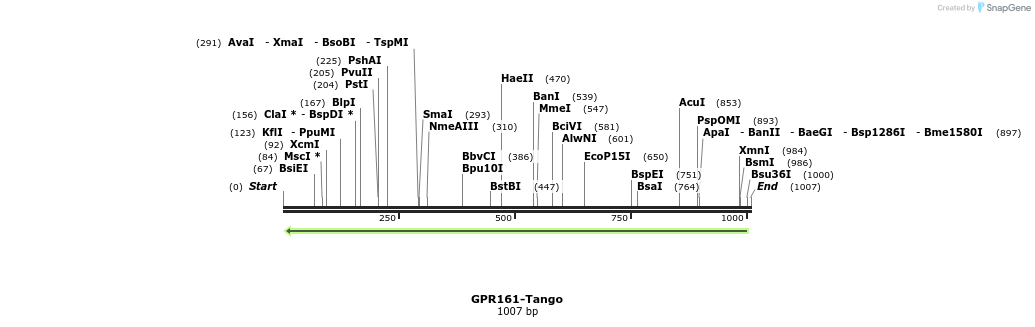 119938_map