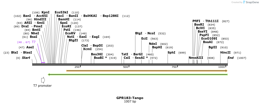 119939_map