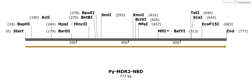 11994_map
