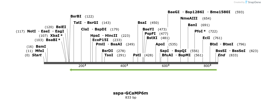 119941_map