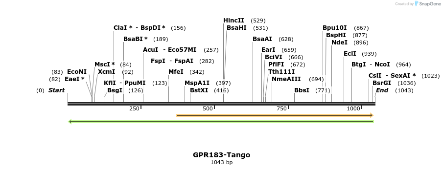 119942_map
