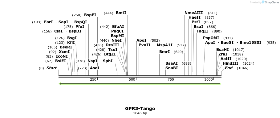 119944_map