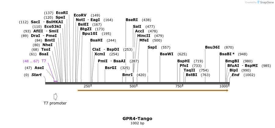 119945_map
