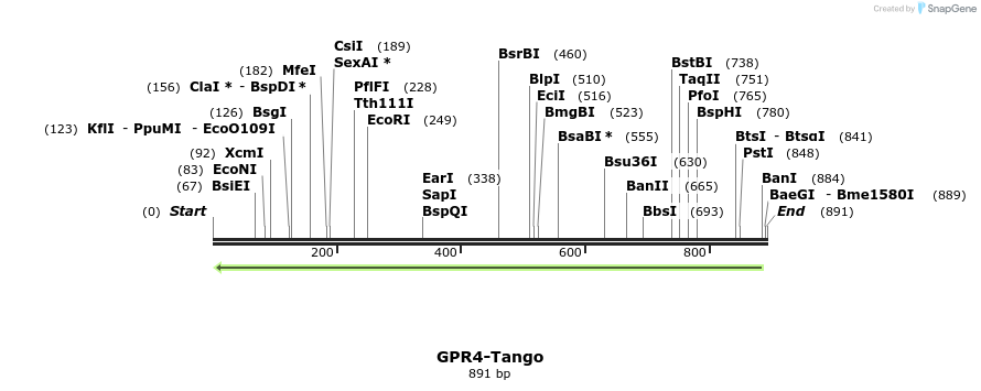 119946_map