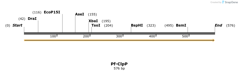 11995_map