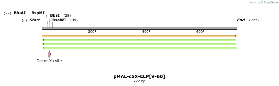 119956_map