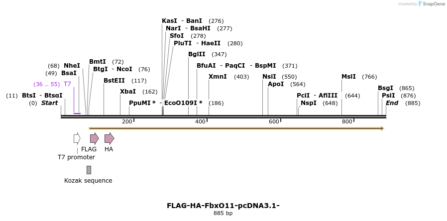 119958_map