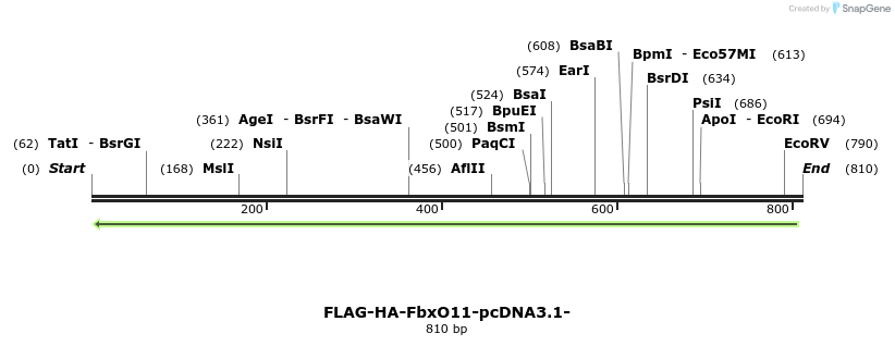 119959_map