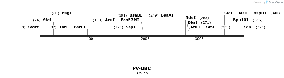 11996_map