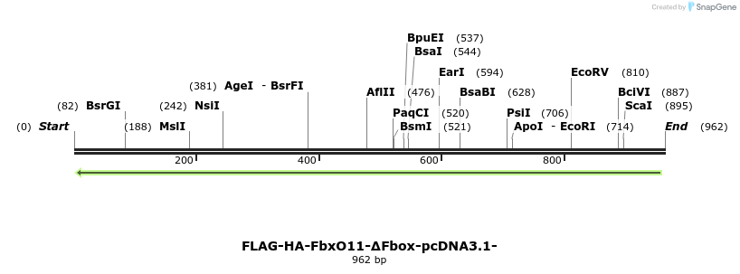 119961_map