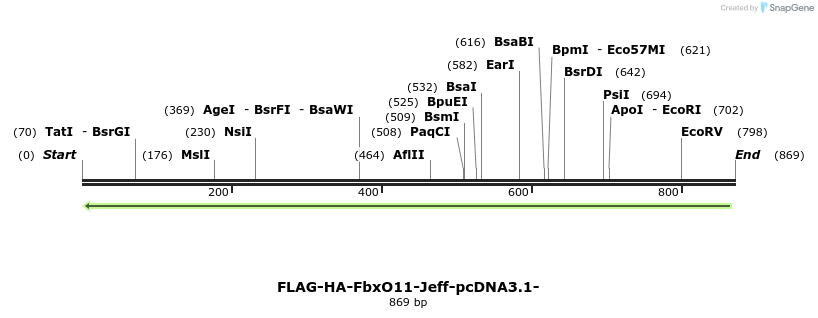 119962_map