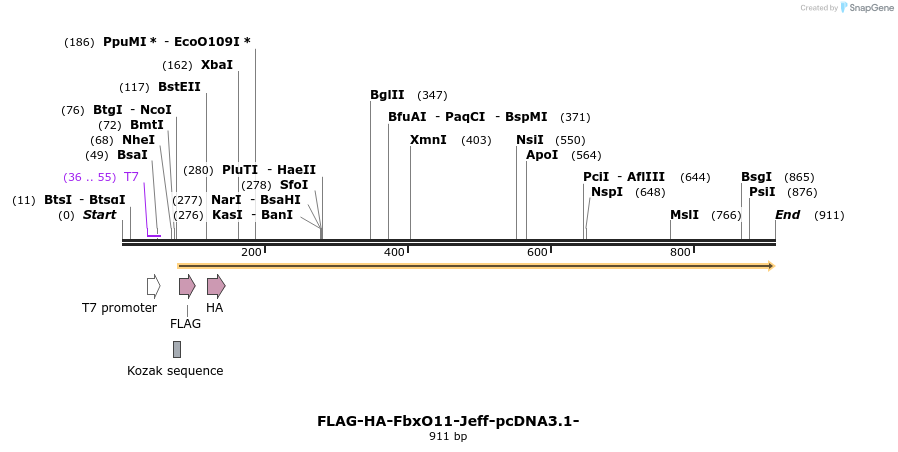 119963_map