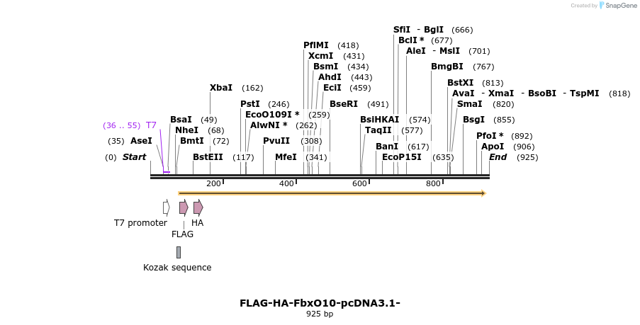 119965_map