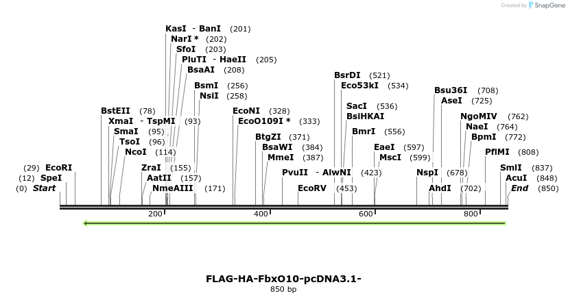 119966_map