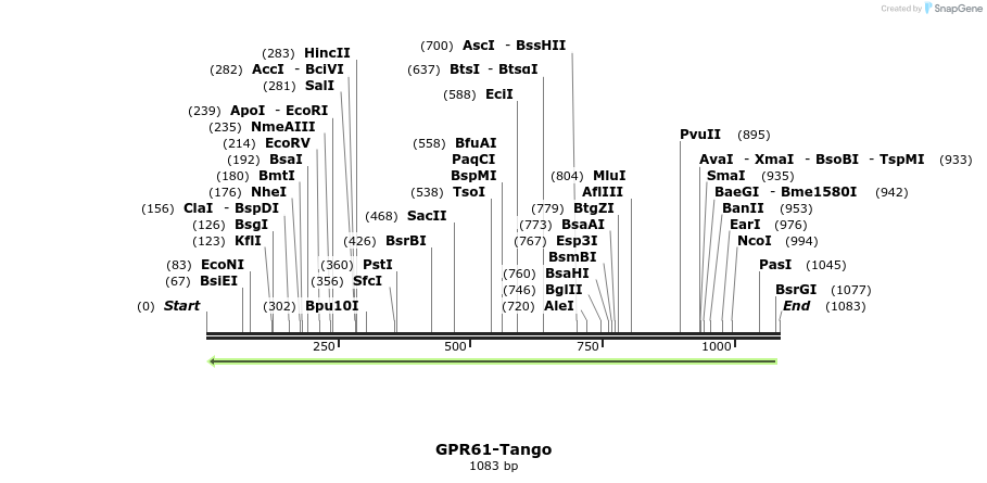 119967_map
