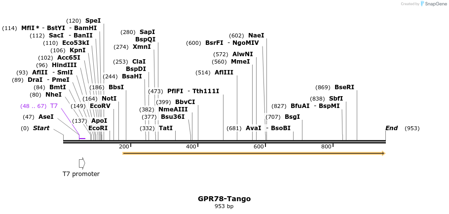 119968_map
