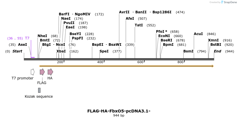 119969_map
