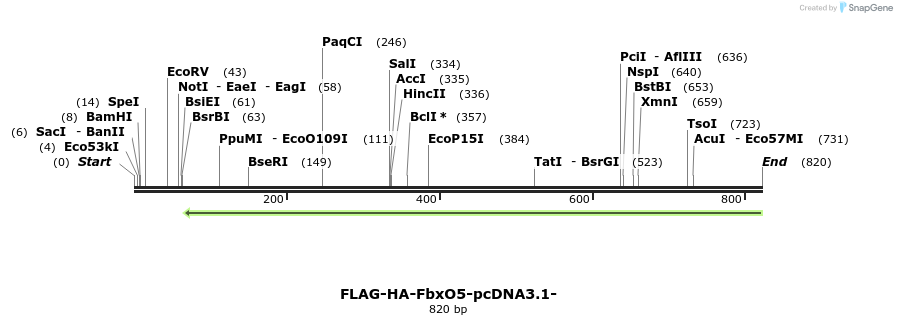 119970_map