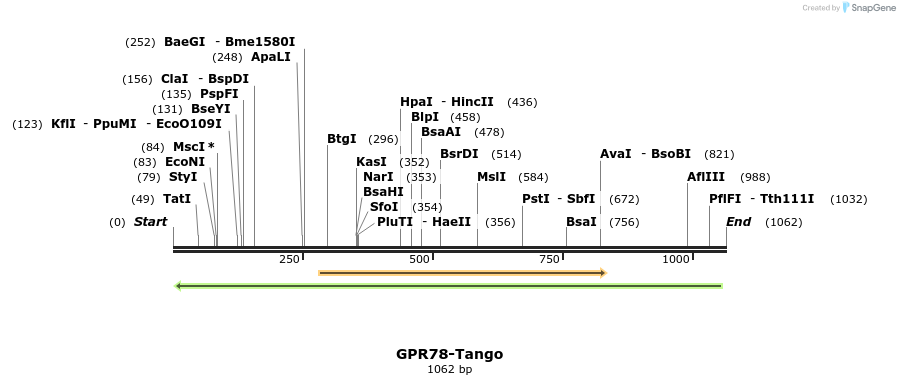 119971_map
