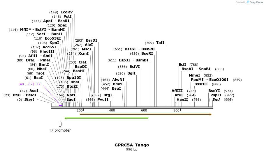 119972_map