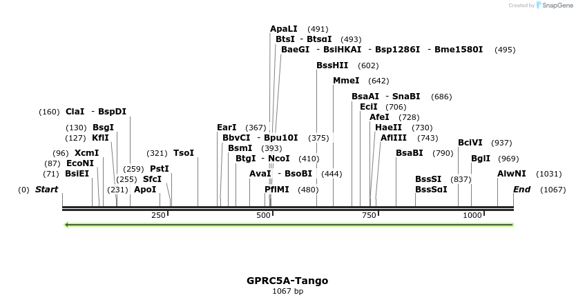 119973_map