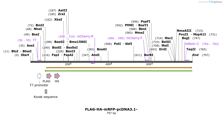 119974_map