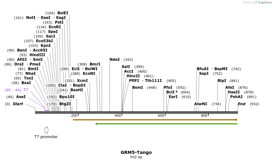 119975_map