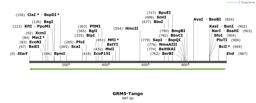 119976_map