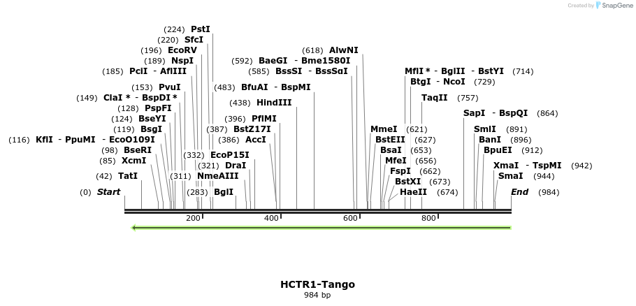 119979_map
