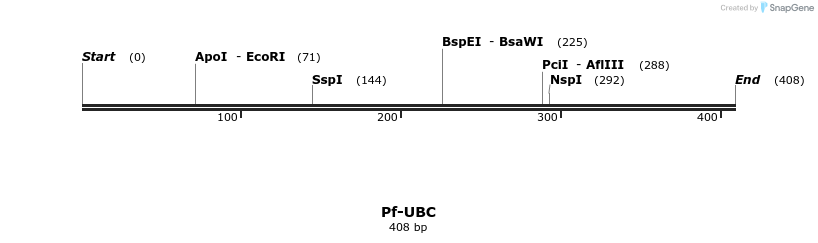 11998_map