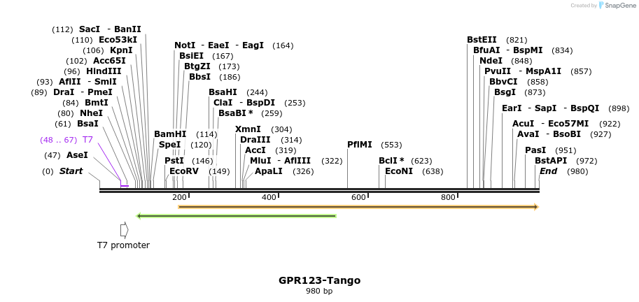 119980_map